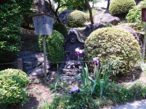 花菖蒲もきれいでした。