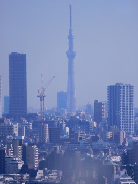 スカイツリーも望遠で撮るとこんなによく見えます。