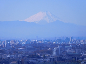 西には富士山