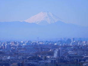 西には富士山