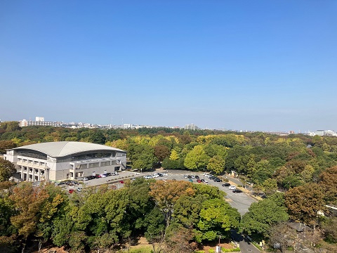 光が丘公園の樹木も徐々に色づいてきました