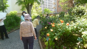 たくさん歩きました