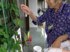 食べ物の収穫はやっぱり楽しいい！