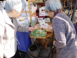 このおもちゃの金魚、ホンモノみたい・・・