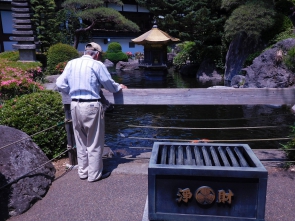 ほぉ。鯉か・・・。