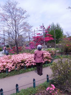 「花はやっぱり癒されるわねぇ～。」