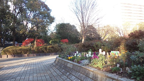 鳥の元気なさえずりが聞こえます♪