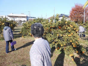 雲一つなし