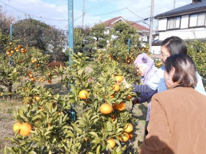 これどうかしら