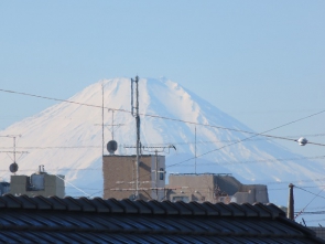 天気の良いお正月です