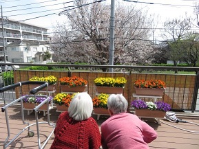 お花見❀