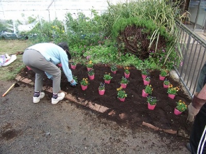   　　　植え込み