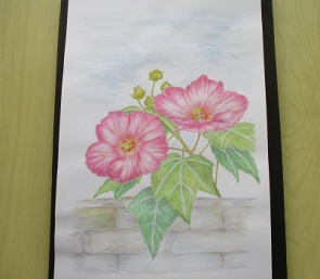 水彩色鉛筆で塗り絵