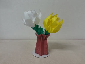 白菊