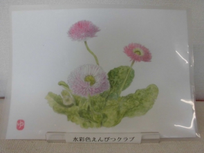 水彩色えんぴつクラブの見本