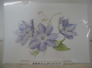 水彩色えんぴつクラブ【クレマチス】