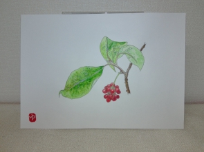 水彩色えんぴつ
