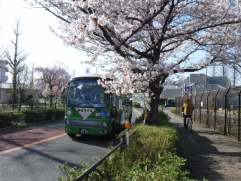 令和４年桜・バス