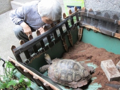 亀さんと気持ちが通じ合ったようです。