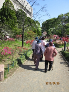 平成つつじ公園の様子です。