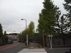 センター周囲の木々も少しづつ秋色に色づいてきました