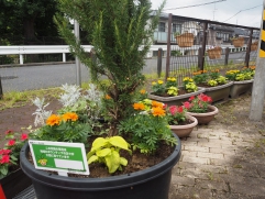 練馬デイ　花の会