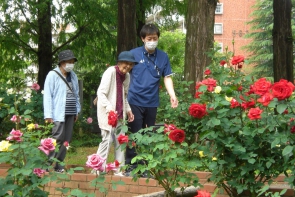 バラの中を歩けるなんて、幸せ♡