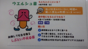 ウエルシュ菌