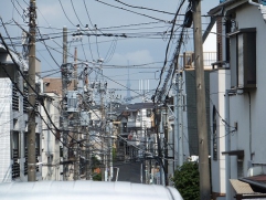 錦居宅近隣から見えるスカイツリー　写真中央です