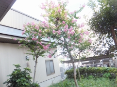 居宅の窓からの景色