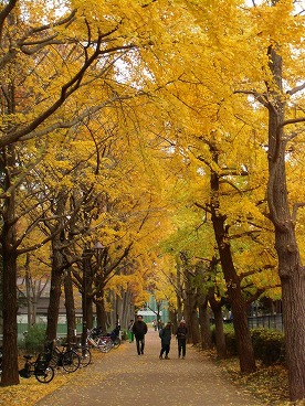 　  　城北公園にて(練馬区の素敵な風景100選)