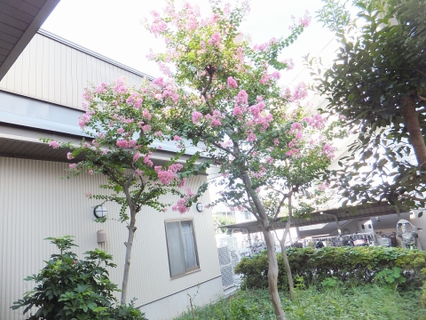 居宅の窓からの景色