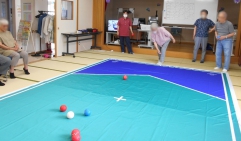 ボッチャ対戦