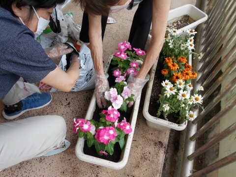 花の植え替え