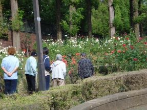 練馬区立錦デイサービスセンター