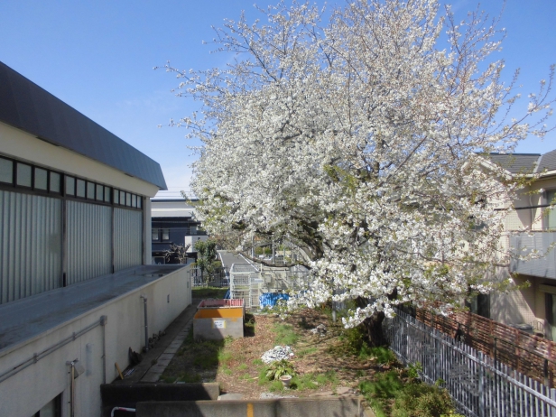 練馬区立三原台敬老館