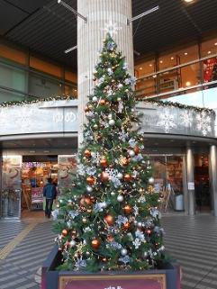 大泉もすっかりクリスマス♪