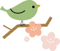 梅の花の季節です