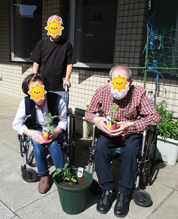 持っている苗を植えました。