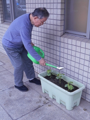 「大きくなれよー」と笑顔で水やりしてくださいました(*^。^*)