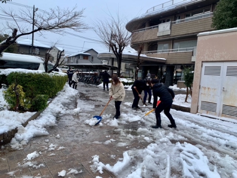 チームで雪かき⛄