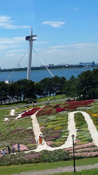 葛西臨海公園だそうです。