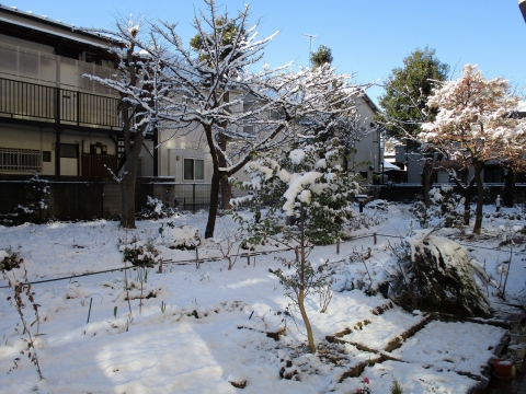 期間限定の雪景色 関町デイサービスセンター 社会福祉法人 練馬区社会福祉事業団 公式サイト