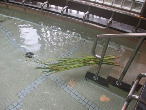 菖蒲湯