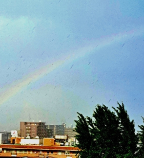 特養の空に虹