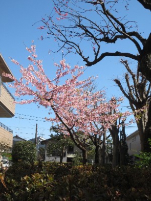 大きく成長した姿を・・・