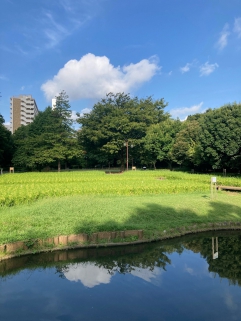 秋の陽公園