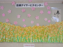 　　　　黄色い菜の花畑です♪♪