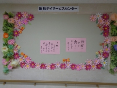 秋桜の彩り♪