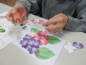 　　　　　綺麗な紫陽花が出来そうだぞ！